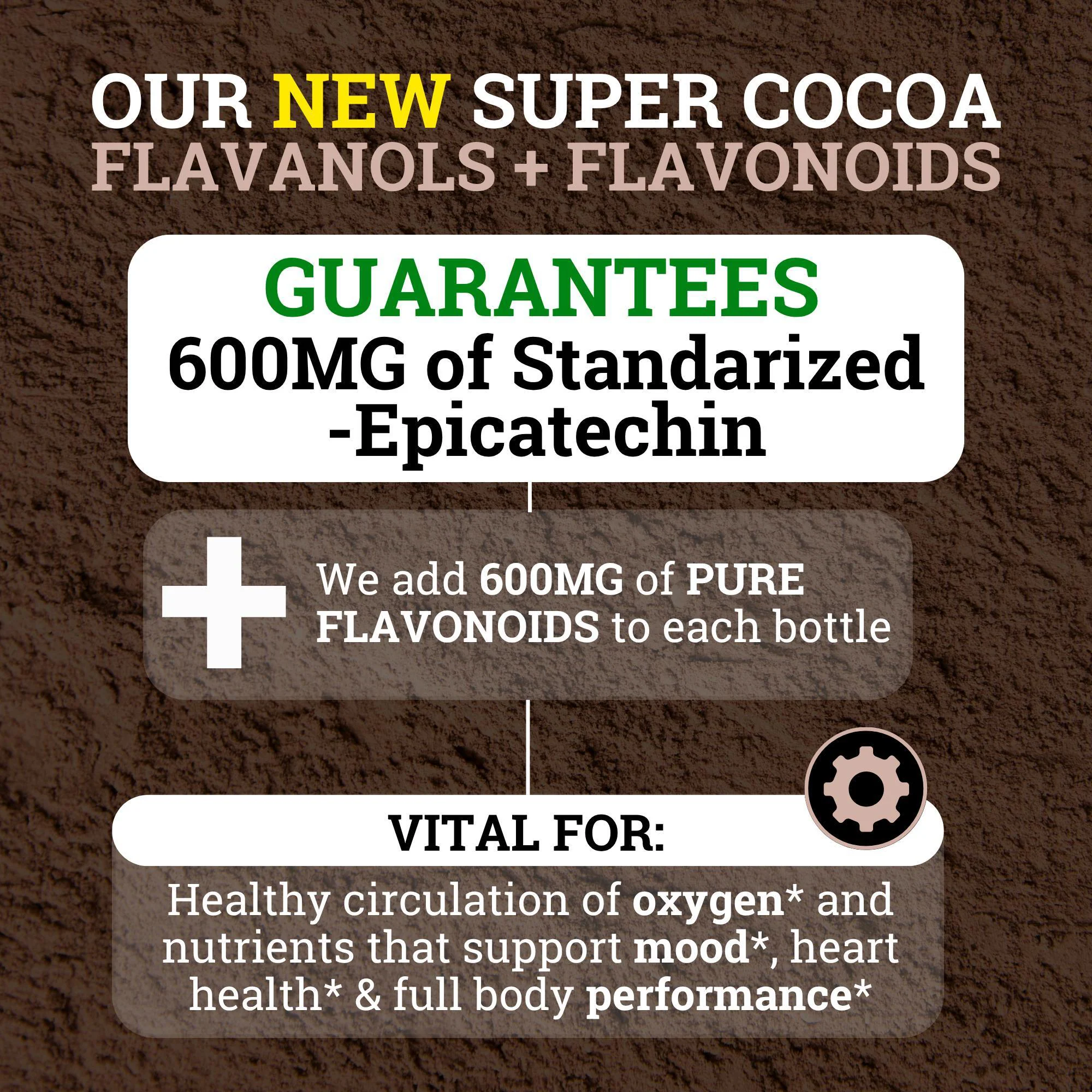 Supercharged Cocoa Flavanols + Flavonoids 1200MG - Image 3